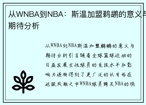 WNBANBA˹¼ɵڴ